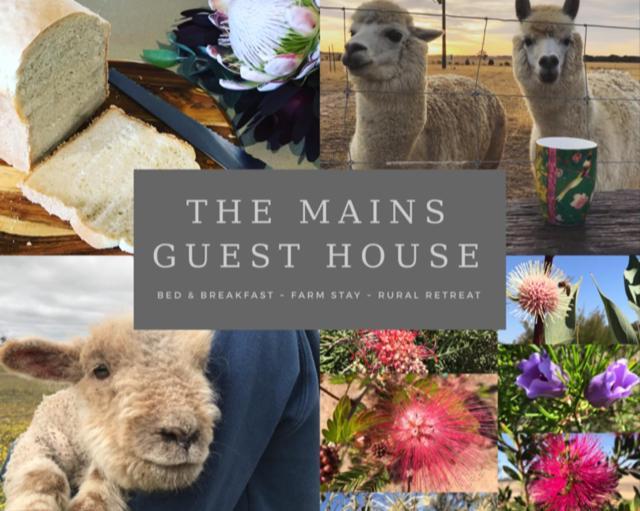 The Mains Guest House 2 Bedroom Farm Stay Corrigin Eksteriør billede
